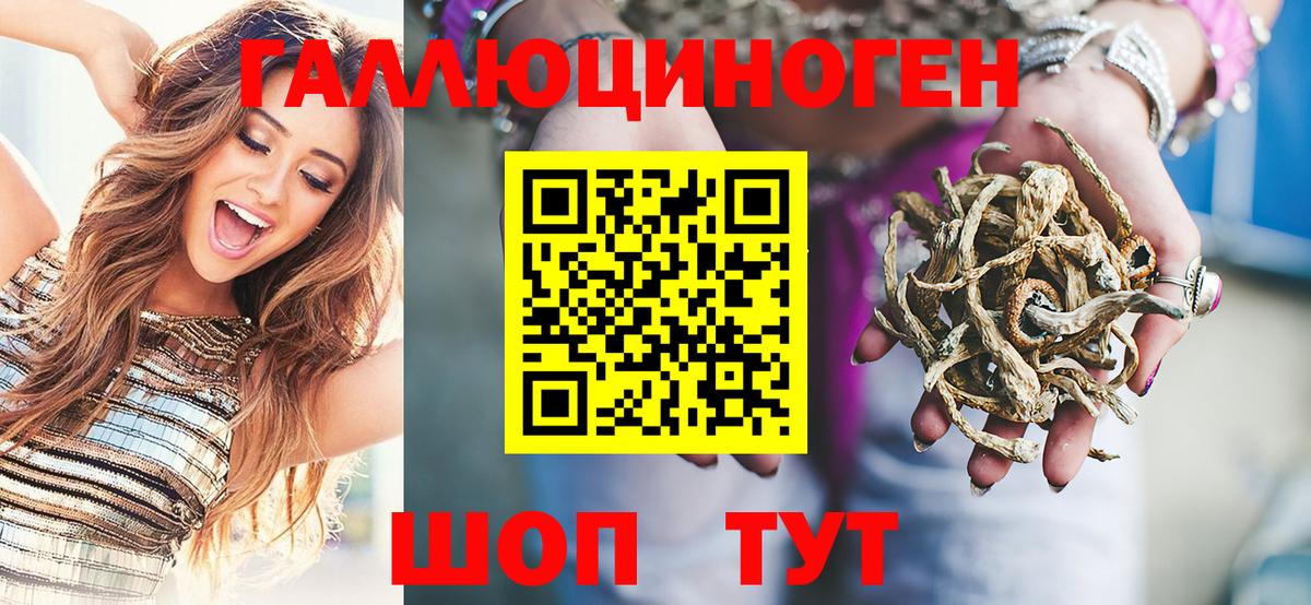 Галлюциногенные грибы Cubensis  Вход с VPN  Котельники 