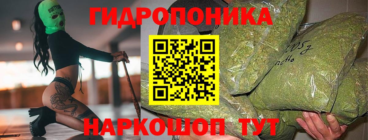 Котельники  Каннабис план  Вход с VPN  Марихуана сатива 